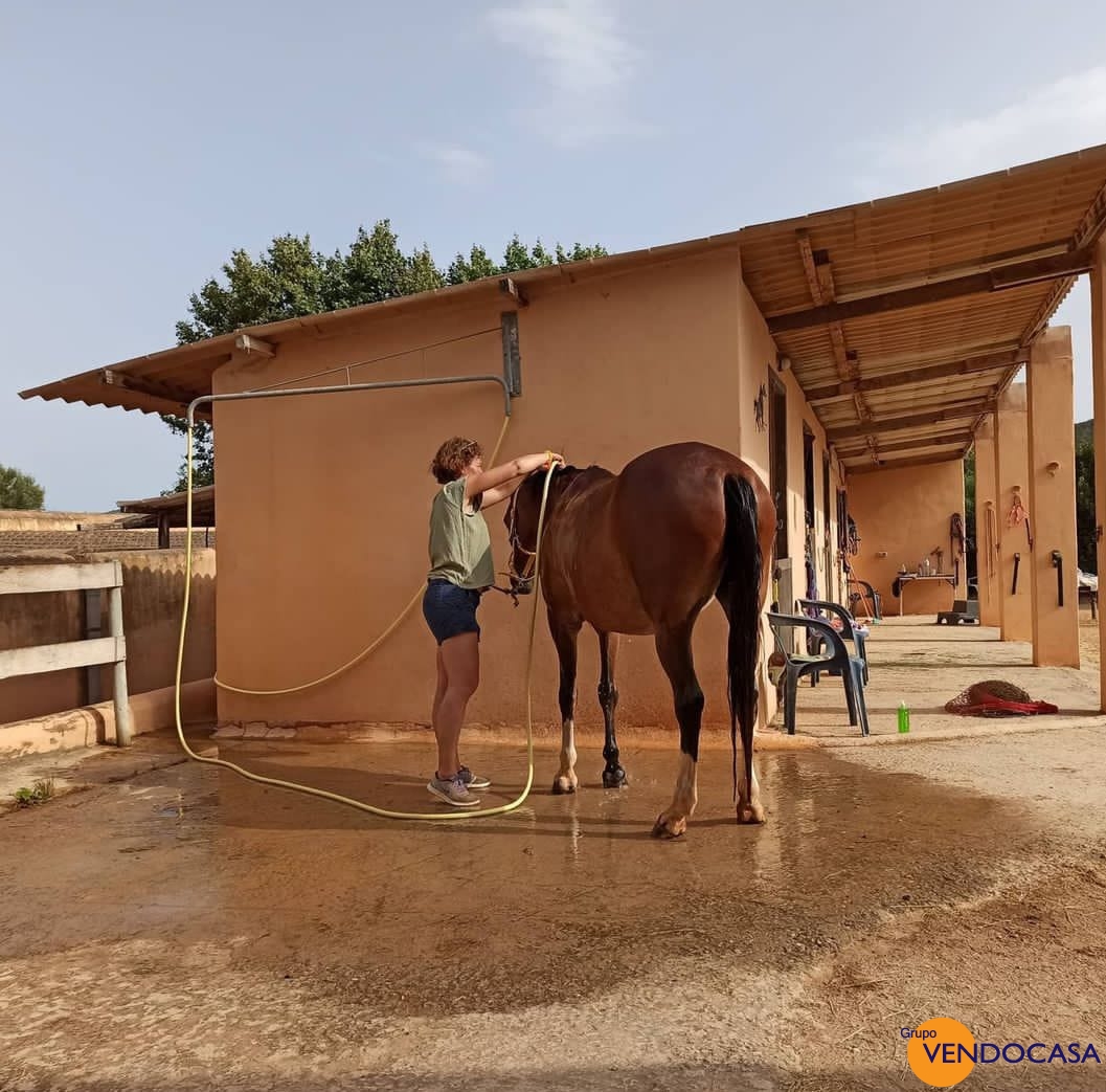 Unique large finca for horses in Ibiza