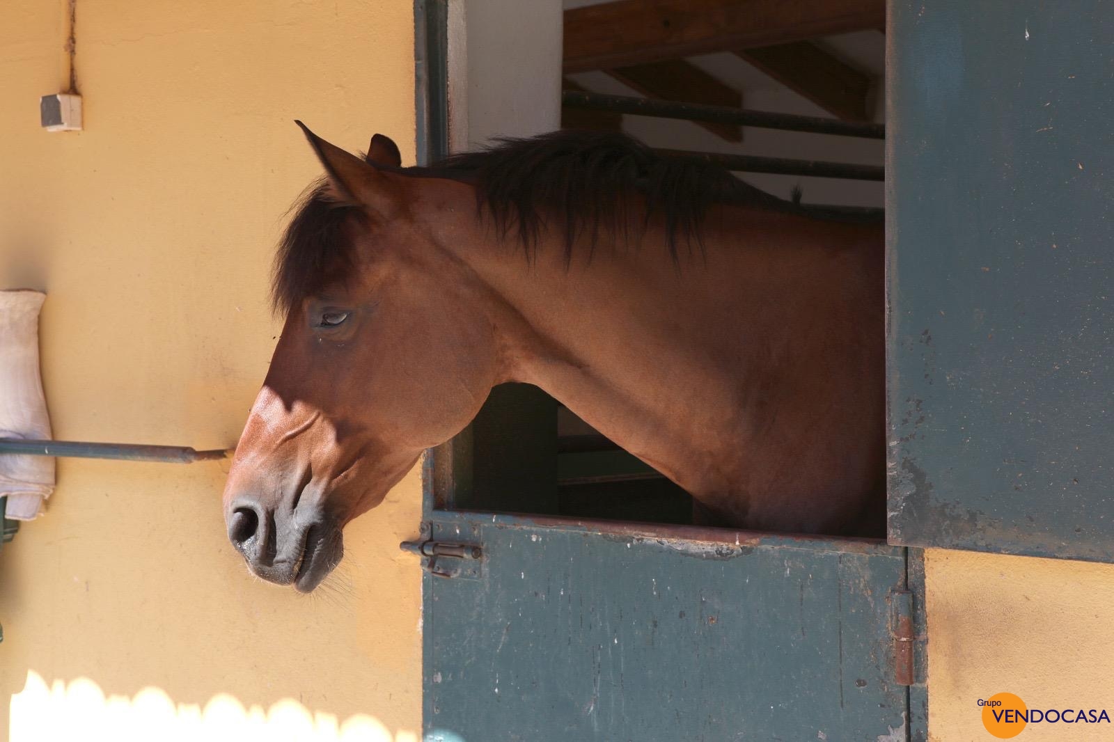 Equestrian Property Betera Valencia