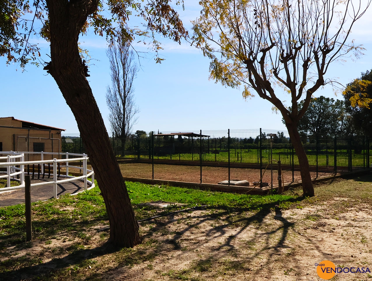 Equestrian Property Betera Valencia