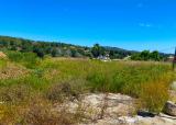 Building Plots