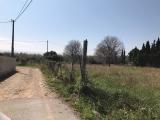 20000M2 land with 2 building