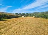 Large rustic plot with 120M2 ruine
